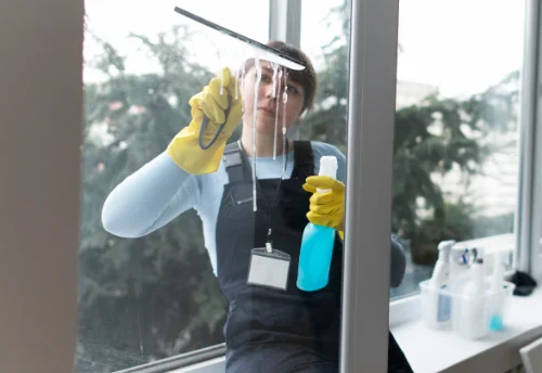 Nettoyage de vitres intérieures et extérieures à Lussac